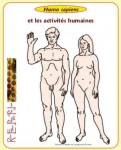 00-EnnemisAbeilles-pages2-mini